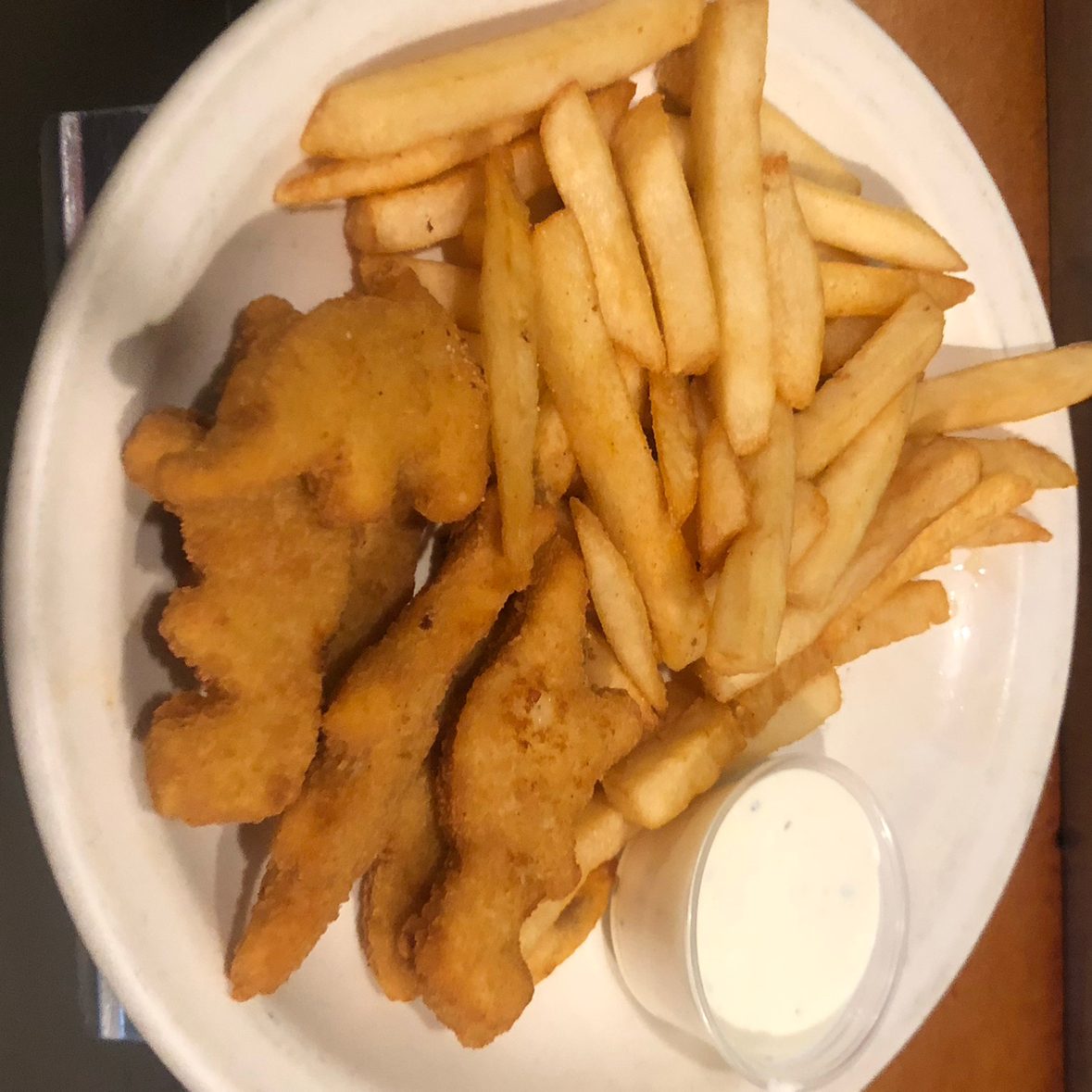 Chicken Dinosaur Strips and Fries.